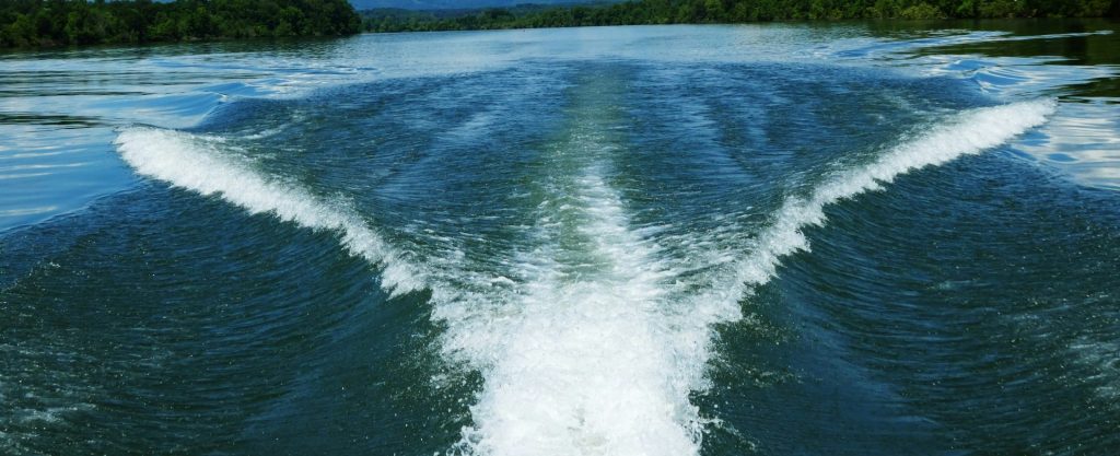 Wake