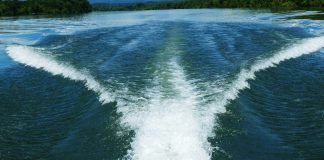 Wake