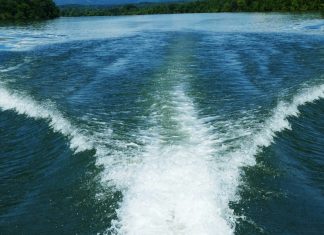 Wake