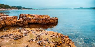 slow lake brown rock formation on body of water during daytime
