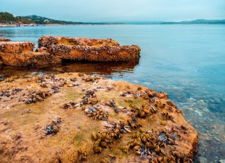 slow lake brown rock formation on body of water during daytime