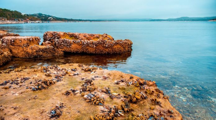 slow lake brown rock formation on body of water during daytime