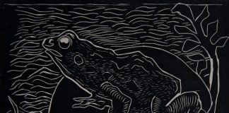 Mr. Frog