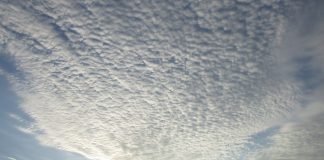 The cold winds of hates