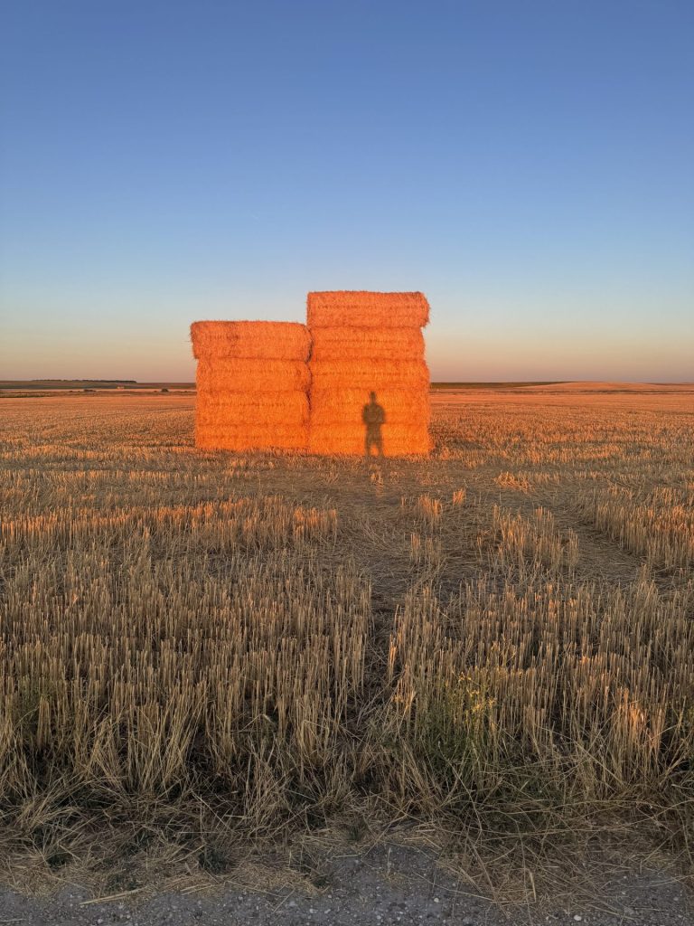 The 8 photographs in this series were taken in Meseta de Segovia, Spain. Summer 2026.