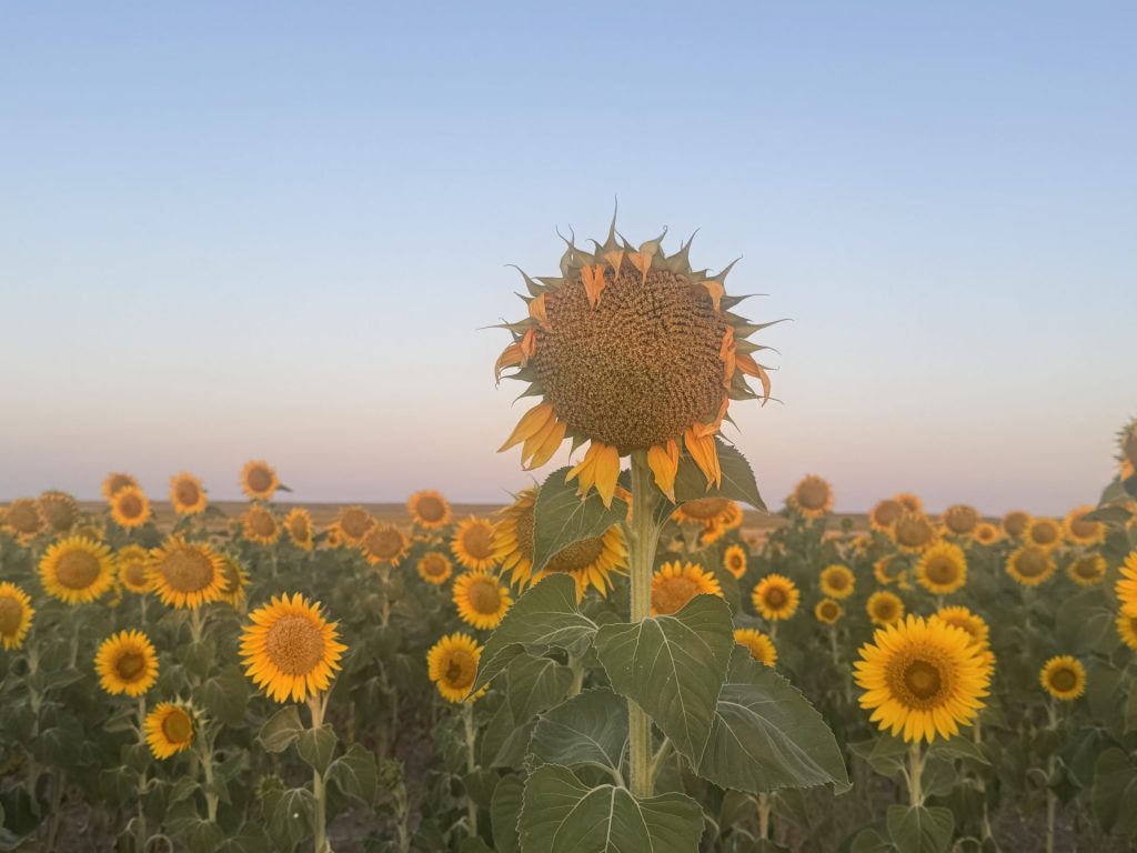 Summer in Iberia Photo Gallery