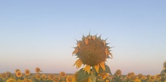 Summer in Iberia Photo Gallery