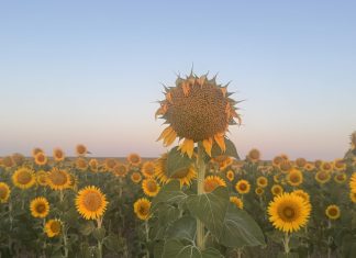 Summer in Iberia Photo Gallery