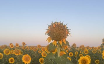 Summer in Iberia Photo Gallery