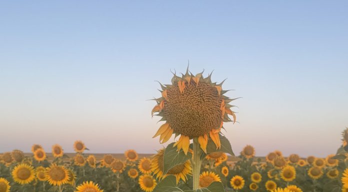 Summer in Iberia Photo Gallery