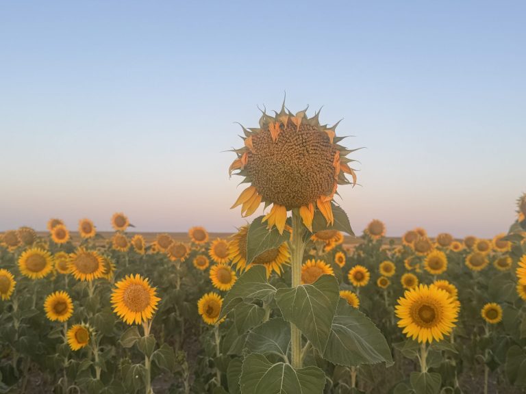Summer in Iberia Photo Gallery