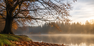 Autumn Prayer