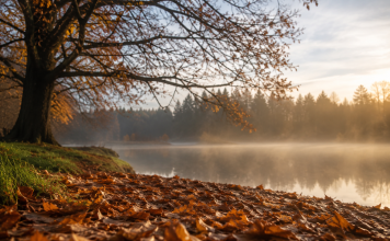 Autumn Prayer
