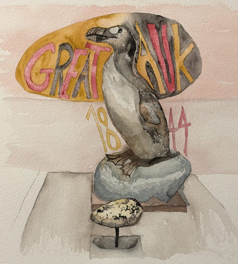 Great Auk With Egg, Extinct Birds Series #5