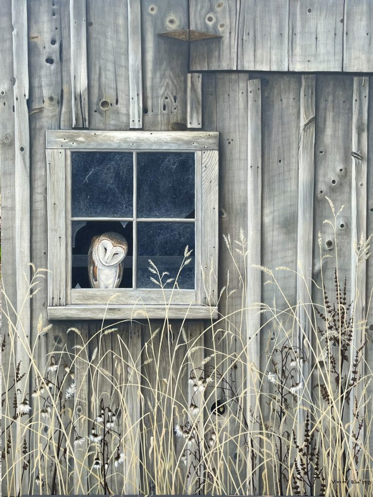 No Place Like Home – Barn Owl
