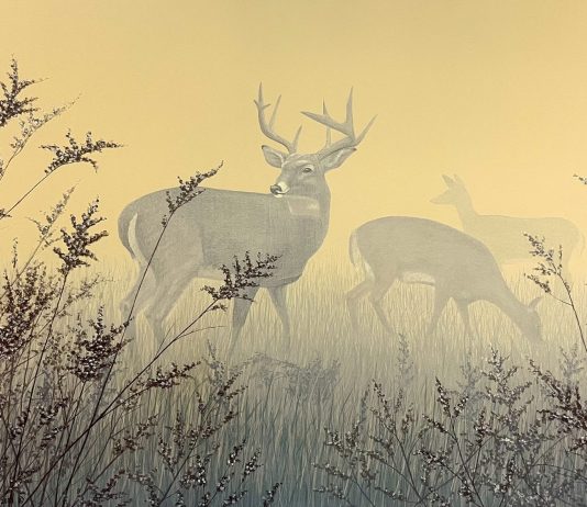 Two Acrylic Paintings by Vincent Bihn II
