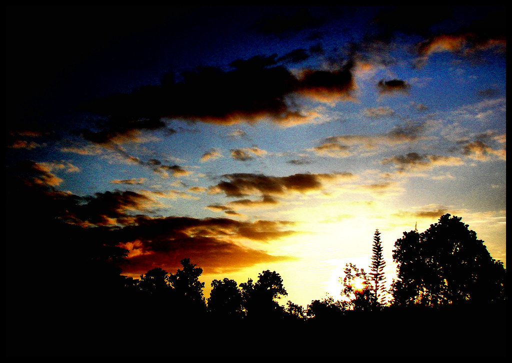 good day sunshine